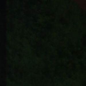 Meet your Posher, Ashton